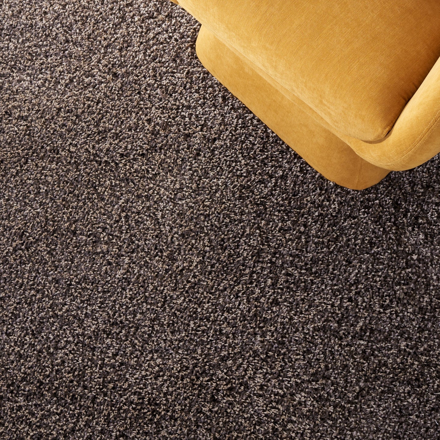 SAFAVIEH, Santa Monica Mahalia Shag 2-inch Thick Area Rug