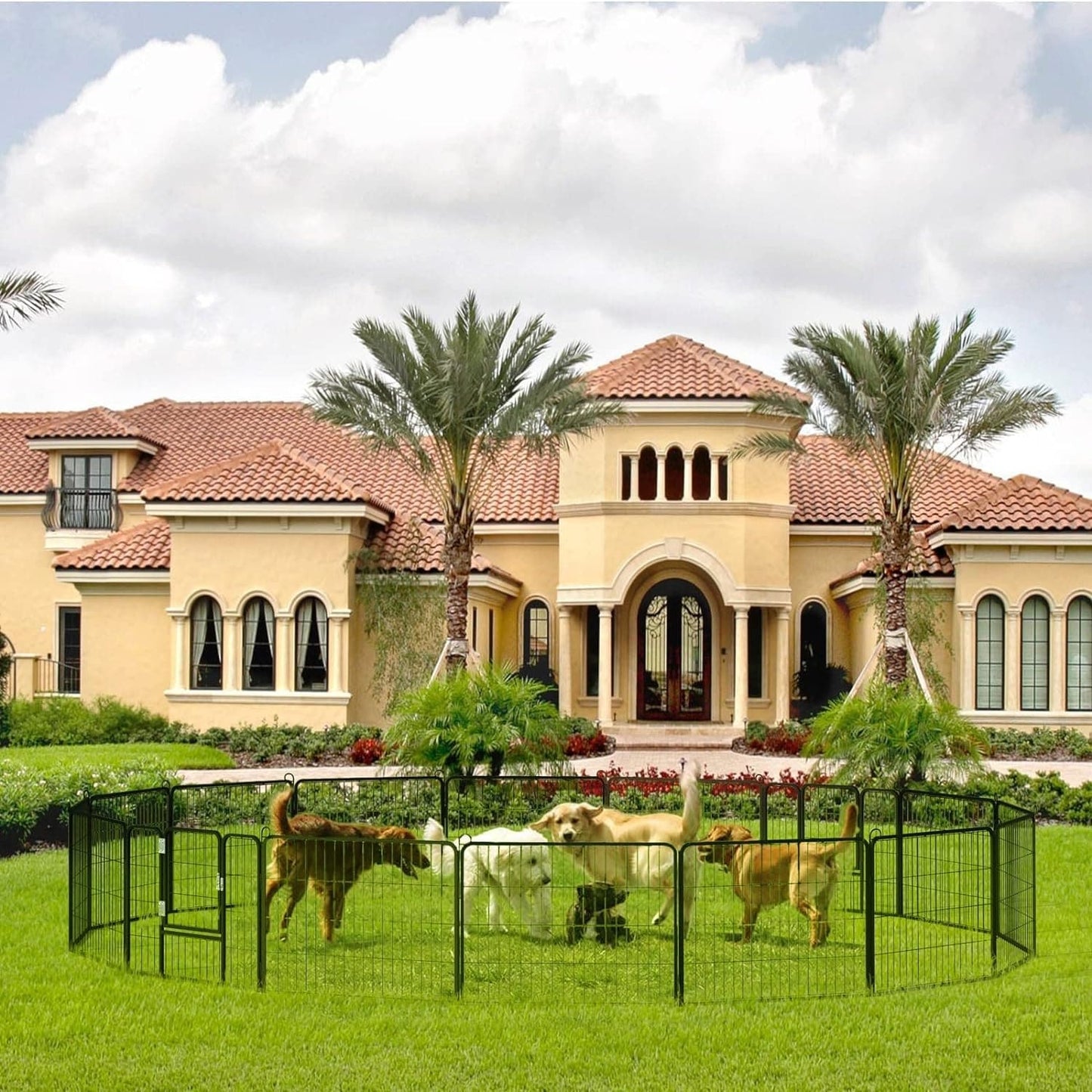 Parc pour chien Bossin, chenil, cage, clôture, parc d'exercice avec portes, 8/16/24 panneaux