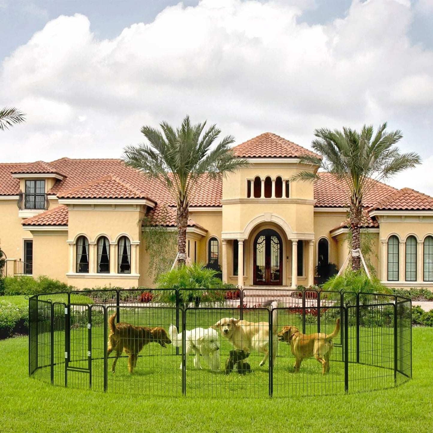 Parc pour chien Bossin, chenil, cage, clôture, parc d'exercice avec portes, 8/16/24 panneaux