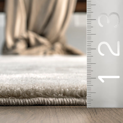 Tapis à poils longs lavable en machine Nuloom Loni SuperiorWash