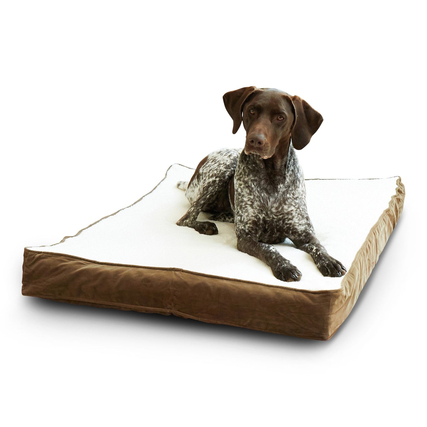 Lit orthopédique pour chien Happy Hounds Ozzie Mocha