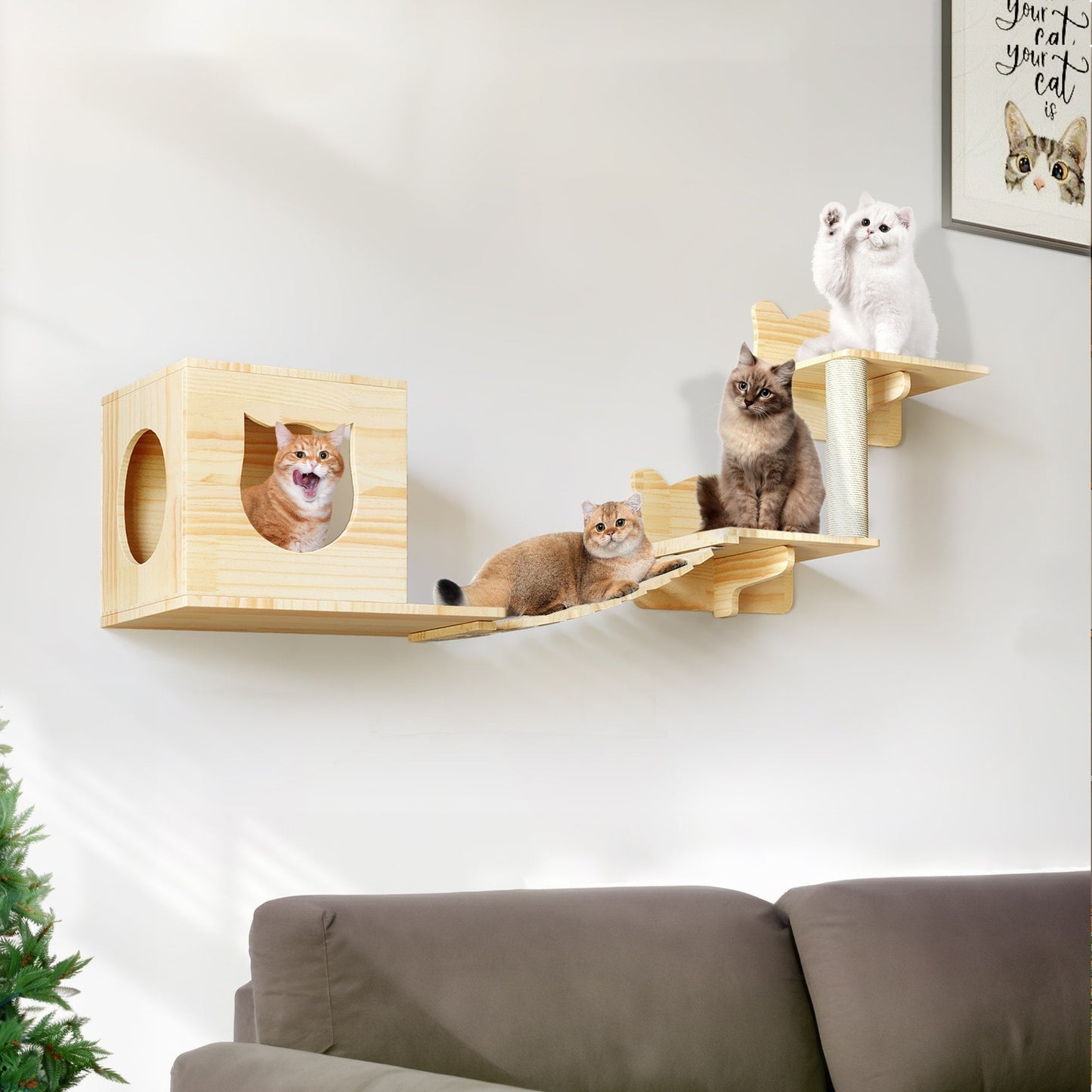 Ensemble d'étagères murales pour chat Moasis Ensemble d'escalade pour chat en bois fixé au mur