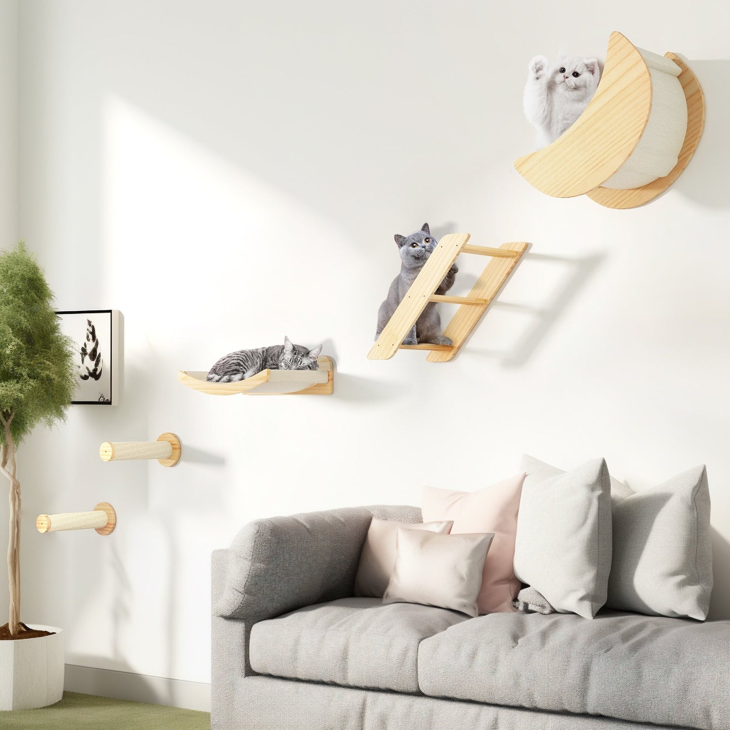 Ensemble d'étagères murales pour chat Moasis Ensemble d'escalade pour chat en bois fixé au mur