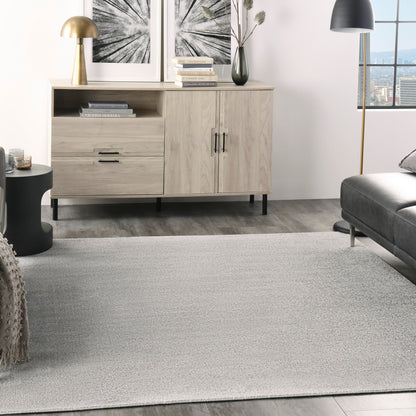 Tapis contemporain d'intérieur/extérieur Nourison Essentials