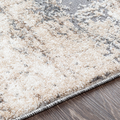 Tapis moderne vieilli Livabliss Oskar