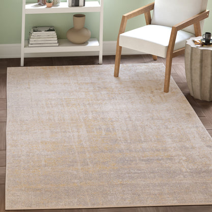 Tapis SAFAVIEH Adirondack Guillerma moderne abstrait vieilli