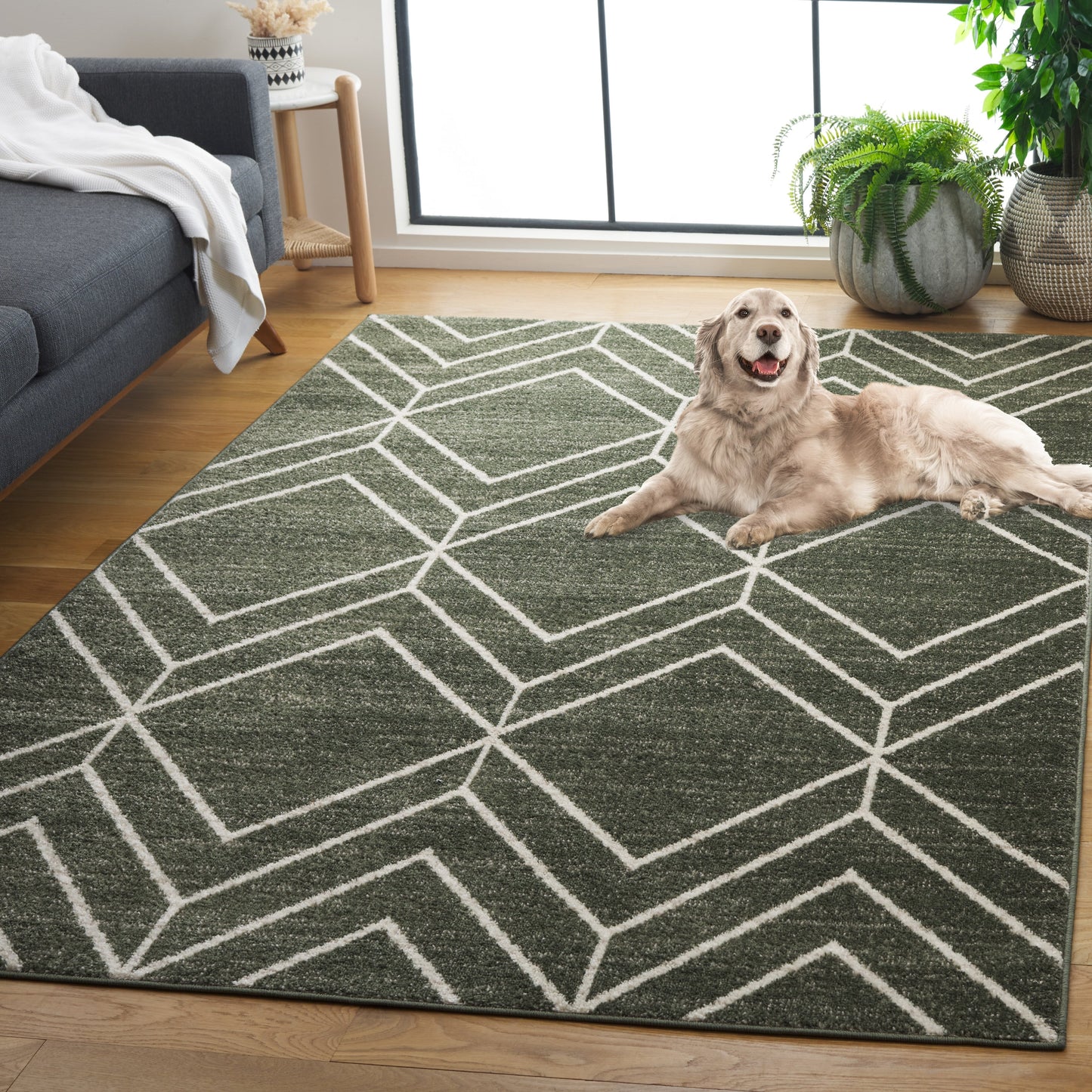Tapis géométrique moderne SAFAVIEH Adirondack Juvelina