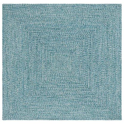 Tapis décontracté tressé fait main SAFAVIEH Anthi