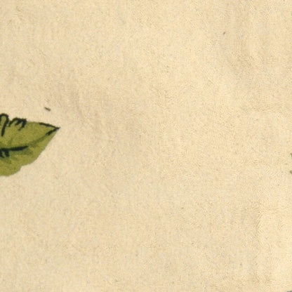 Tapis en laine fait main Chelsea Margrieta de style campagnard français SAFAVIEH