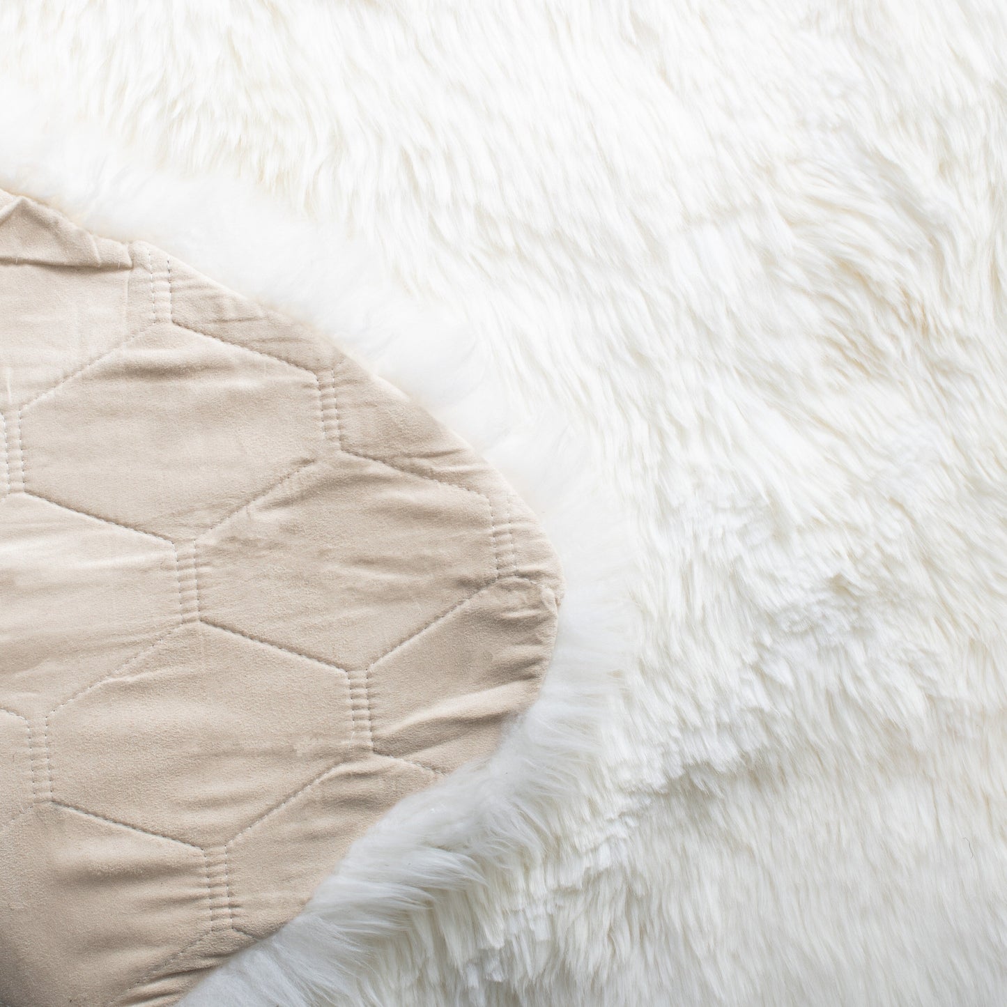 Tapis en peau de mouton véritable Brittnie fait main SAFAVIEH